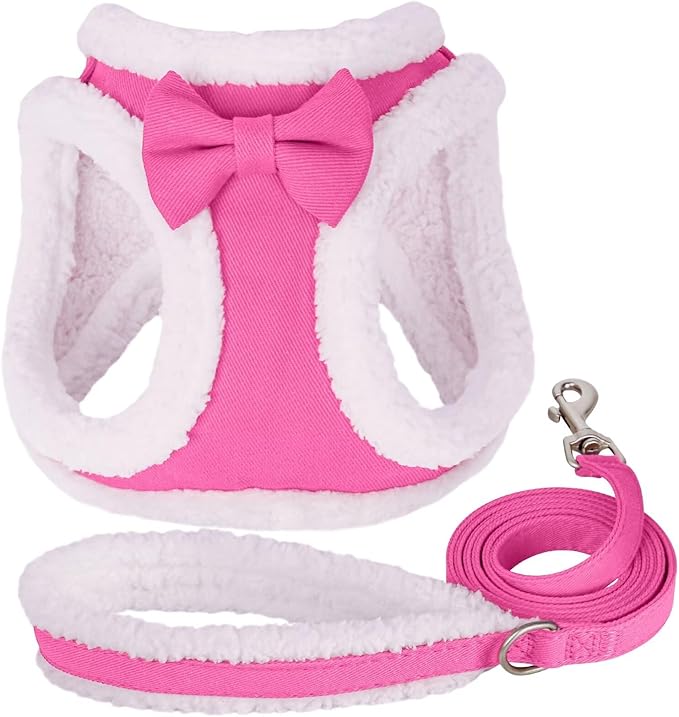 Didog Small Dog Harness and Leash Set, No Pull Adjustable Soft Padded Dog Harness Vest for XS Small and Medium Sized Dogs...