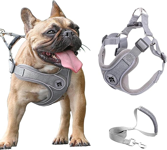 Small Dog Harness and Leash Set,No Pull Adjustable Step in Soft Mesh Vest Harness,Easy Walk Reflective Pet Harness with Pa...