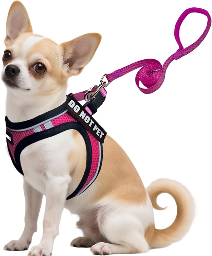 Service Dog Harness Vest Set Emotional Support Small Size Dog- 6PCS Removable Patches -Mesh Puppy Harness and Leash Set Tr...