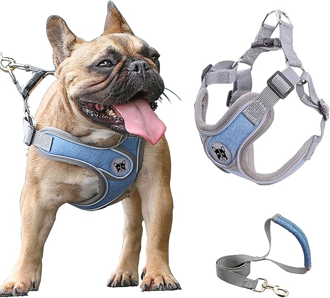 Medium Dog Harness and Leash Set,No Pull Adjustable Step in Soft Mesh Vest Harness,Easy Walk Reflective Pet Harness with P...