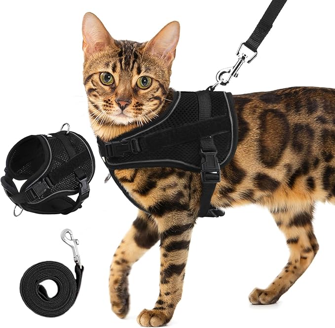 PUPTECK Cat Harness and Leash Set Escape Proof, Adjustable Reflective Kitten Jacket Easy Control, Pet Vest Harness for Cat...