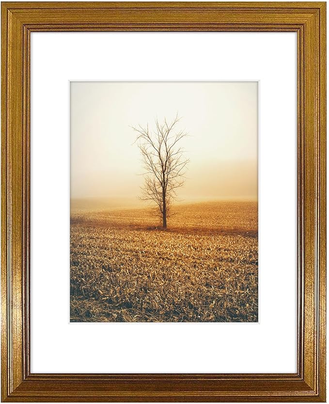 Golden State Art, 11x14 Photo Frame with White Mat for 8x10 Pictures & Real Glass, 1.25-Inch Wide, Dark Gold