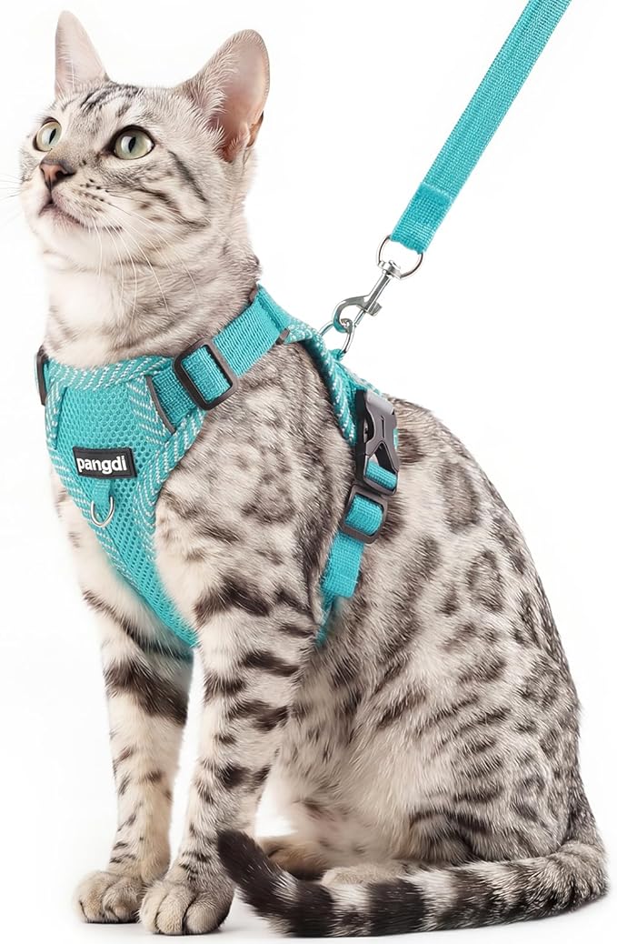 pangdi Cat Harness and Leash Escape Proof Extra Large Kitten Harness Maine Coon Cat Vest for Walking Travel, Turquoise, XL