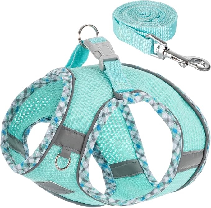 TomteNisse Dog Harness and Leash Set, No Pull Pet Harness for Small Dogs Easy Walking,Soft Breathable Small Dog Harness,Ad...
