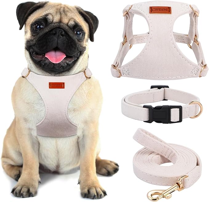 No Pull Dog Harness- Lightweight, Soft, Adjustable Small Harness Collar and Leash Set, Suitable for Cats Puppy Small and M...