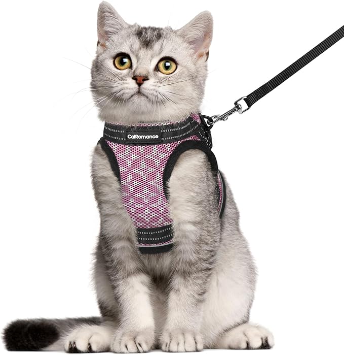 CatRomance Cat Harness and Leash Escape Proof for Walking, Safe Adjustable Large Kitten Vest Set with Reflective Strip for...