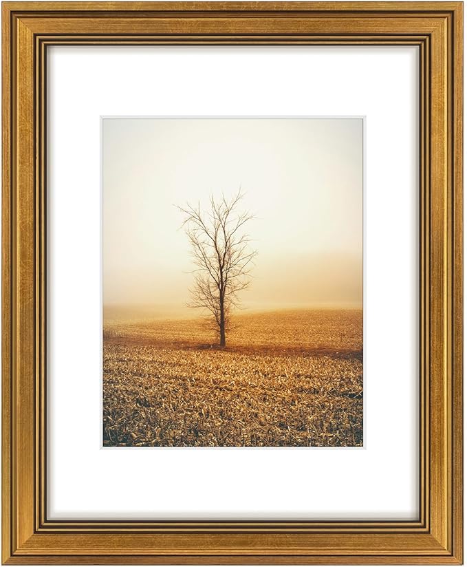 Golden State Art, 11x14 Photo Frame with White Mat for 8x10 Pictures & Real Glass, 1.25-Inch Wide, Dark Gold