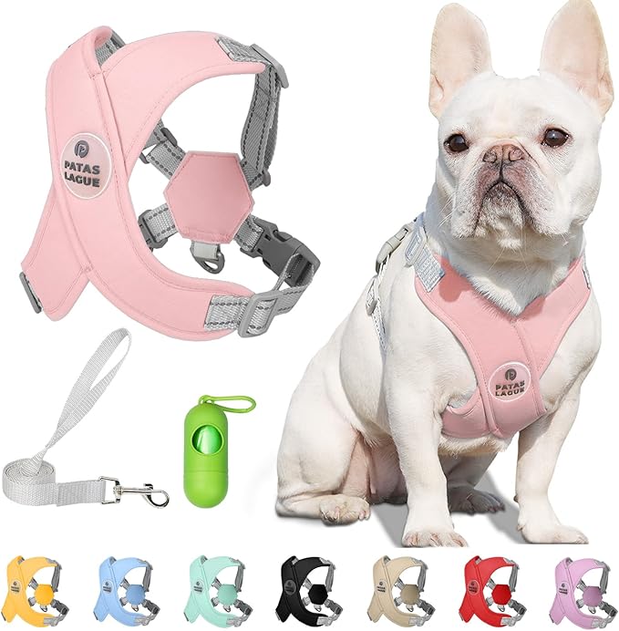 Patas Lague Dog Harness with Leash Set Adjustable Soft Padded Step-in Dog Vest No Choke No Pull Reflective for Small Mediu...