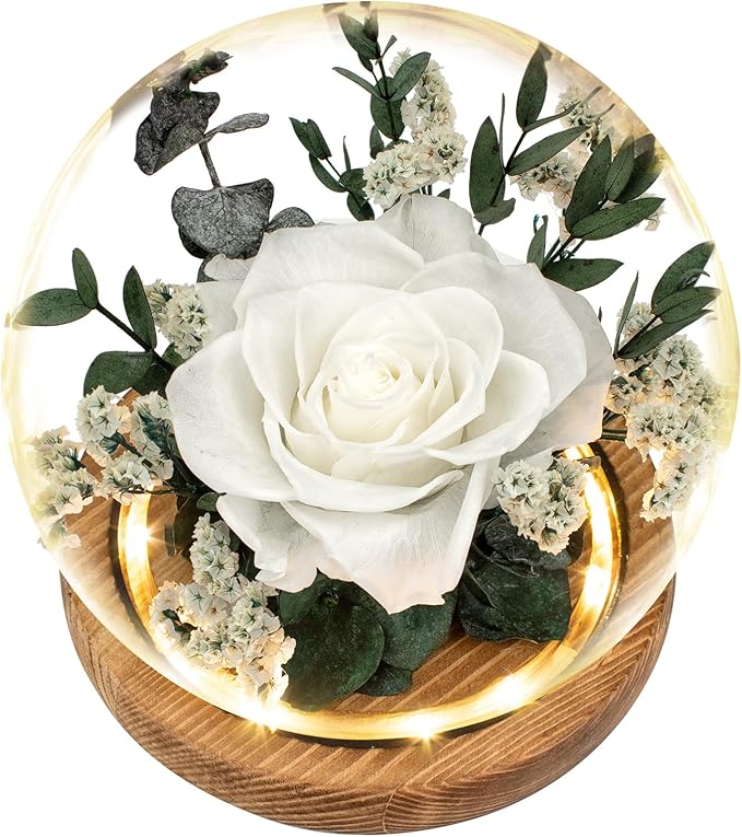 Regalo Flor Preserved Roses & Preserved Flowers Gift for Women, Roses that Last Forever, Flowers for Delivery Prime, White...