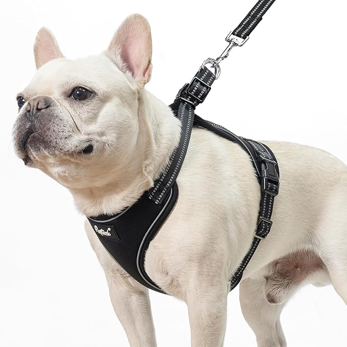 PUPTECK Dog Harness and Leash Set Small Sized, Adjustable Reflective Escape Proof Puppy Vest, No Pull Walking Harness Easy...