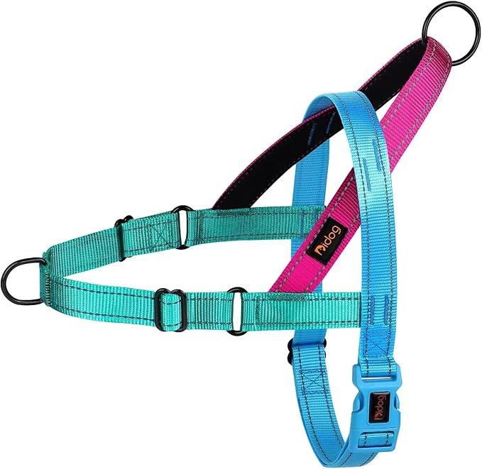 Didog No Pull Dog Harness with Soft Padded Handle, Quick Fit & Lightweight Adjustable Vest Harness, Easy for Training Walk...