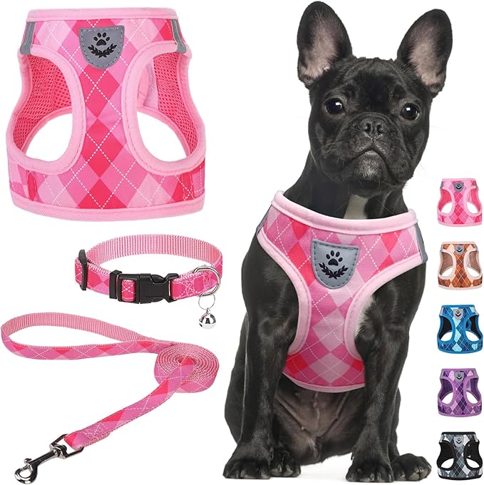 SCENEREAL Small Dog Harness and Leash Collar Set, Step in No Pull Soft Mesh Dog Harnesses for Small Medium Sized Dogs Pupp...