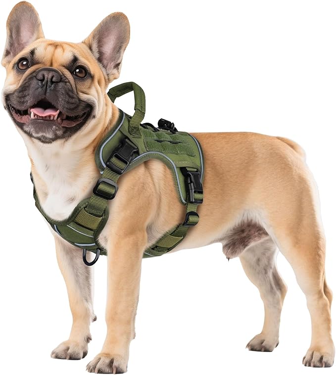 WINGOIN Green Tactical Dog Harness for Small Dogs, Heavy Duty No Pull Harness with Handle, Adjustable Reflective Military ...
