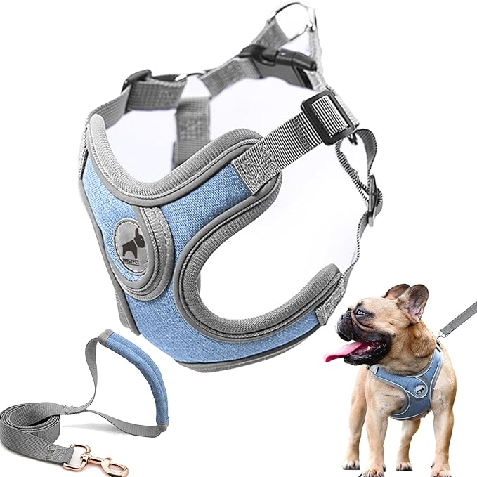 Dog Harness with Leash Set, Adjustable Step in Collars Harness with Breathable Padded Vest for Small Medium Large Dogs Tra...