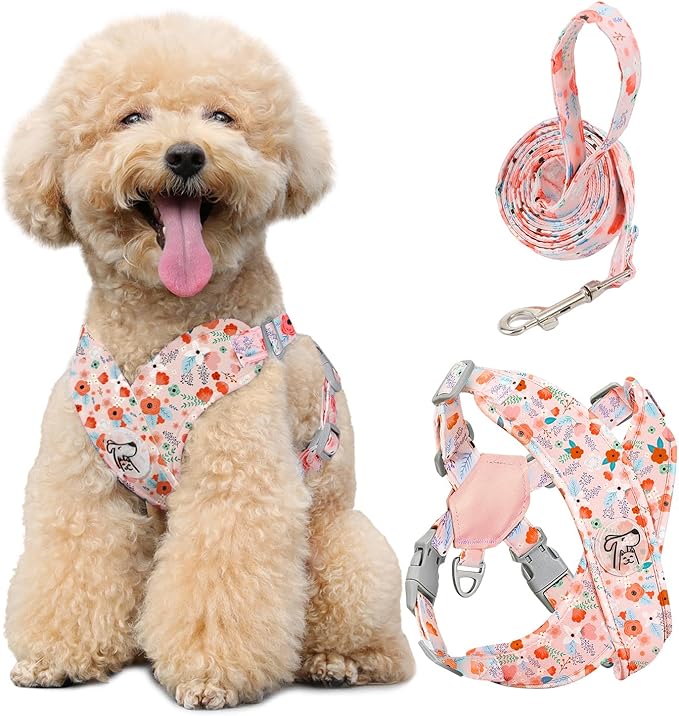 Pawaboo Small Dog Harness and Leash Set, Puppy Harness X-Frame No Pull No Choke, Dog Vest Harnesses Adjustable for Small M...