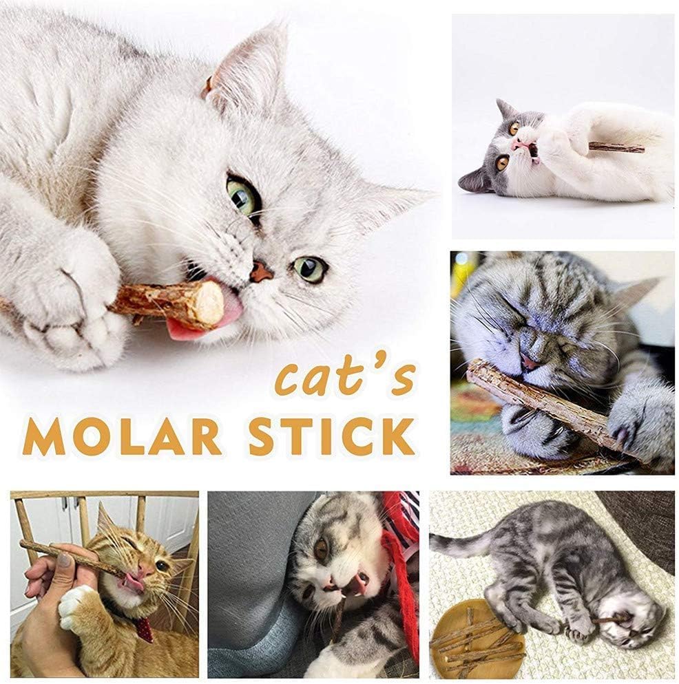 AILUKI 35 PCS Cat Toys Kitten Toys Assortments,Variety Catnip Toy Set Including 2 Way Tunnel,Cat Feather Teaser,Catnip Fis...