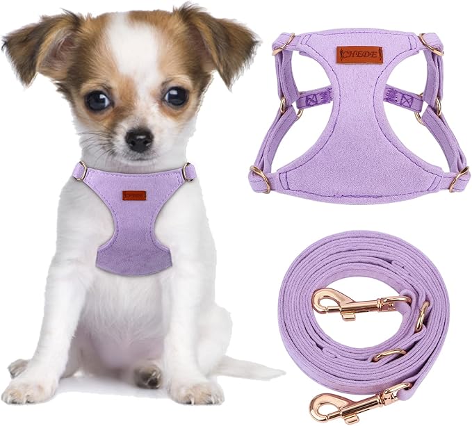 CHEDE No Pull Puppy Harness and Multifunction Dog Leash Set- 8 Colors Soft Adjustable No Choke Escape Proof Cute,Lightweig...