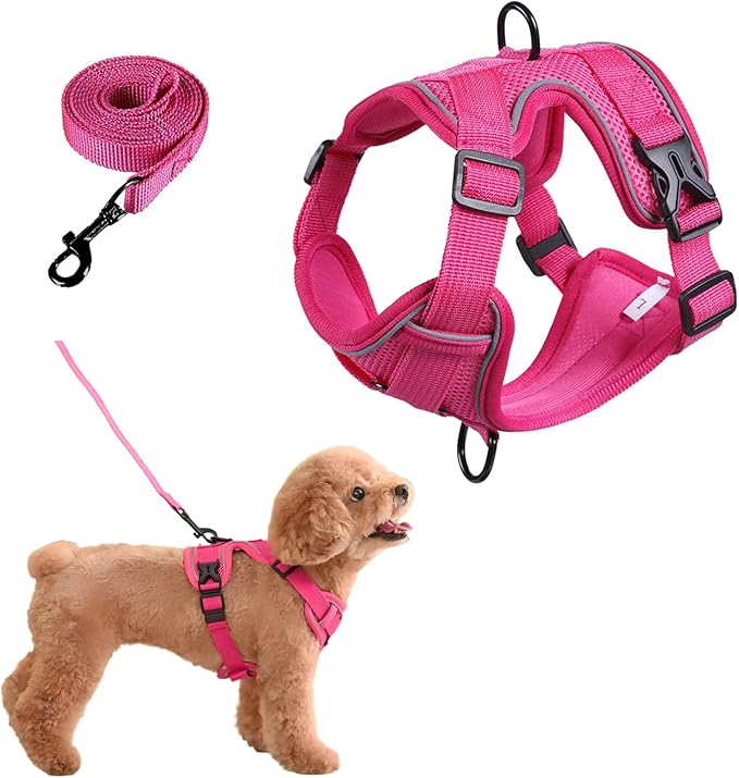 SOLMOONY Small Dog Harness,Soft Mesh Puppy Harness and Leash Set,No Escape Cat Harnesses for Training Walking,Reflective A...