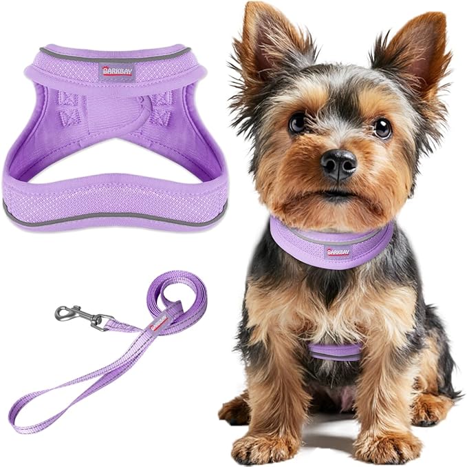 Dog Harness and Leash Set,Step in Small Sized Dog Harness,Soft Mesh,No-Chock,Reflective Adjustable,Secure with Hook & Loop...