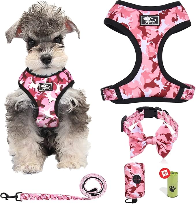 Dog Harness and Leash Set for Small Dogs, Adjustable Reflective No Pull Dog Vest Harness for Puppy with Bow-tie Collar, Le...