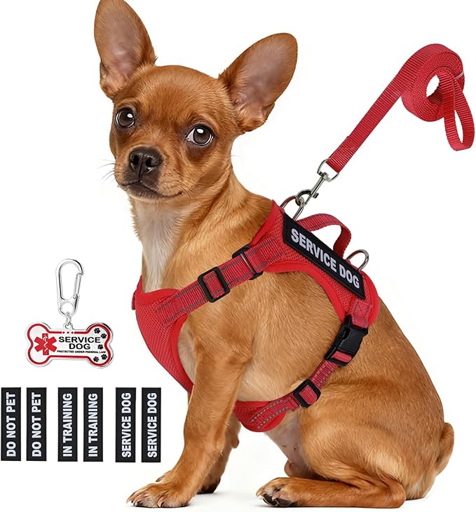 Service Dog Vest for Small Breed Dogs with ID Tag – Lightweight Puppy Harness and Leash Set with 6 PCS Patches, Ideal Serv...
