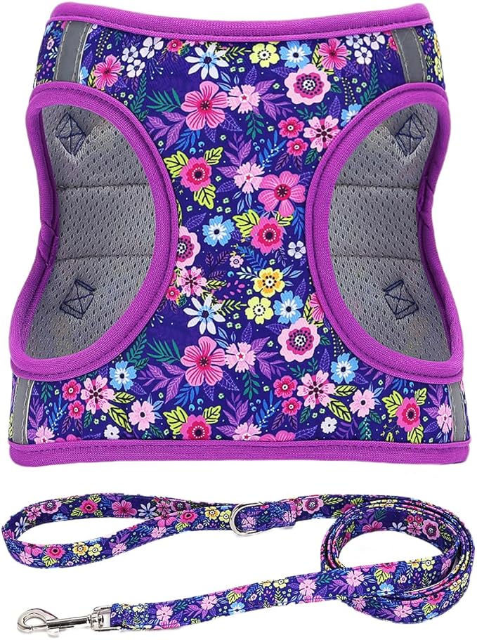 Moonpet Step in Dog Harness Leash Set- All Weather Reflective No-Pull Floral Pattern Padded Mesh Vest Harness for Cats Pup...