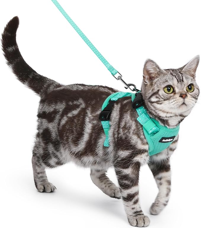 rabbitgoo Cat Harness and Leash, Escape Proof Vest with 3 Adjustable Buckles, Soft Comfortable Kitten Harness, Easy to Wea...