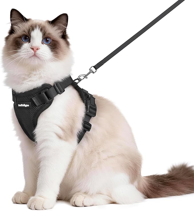 rabbitgoo Cat Harness and Leash for Walking, Escape Proof Soft Adjustable Vest Harnesses for Cats, Easy Control Breathable...