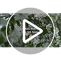 Aromadd Aromadd White Tea Diffuser Oil Inspired by Luxury Hotel Scent, Essential Oils for Waterless Diffuser, White Tea & ...