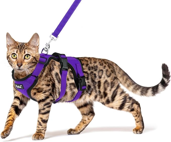 PUPTECK Cat Harness and Leash Set Escape Proof for Walking, Breathable Mash Vest Adjustable Harness for Cats Puppy Small A...