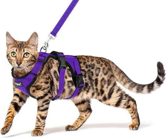 PUPTECK Cat Harness and Leash Set Escape Proof for Walking, Breathable Mash Vest Adjustable Harness for Cats Puppy Small A...