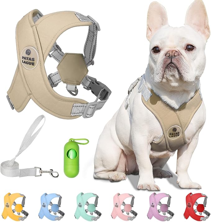 Patas Lague Dog Harness with Leash Set Adjustable Soft Padded Step-in Dog Vest No Choke No Pull Reflective for Small Mediu...