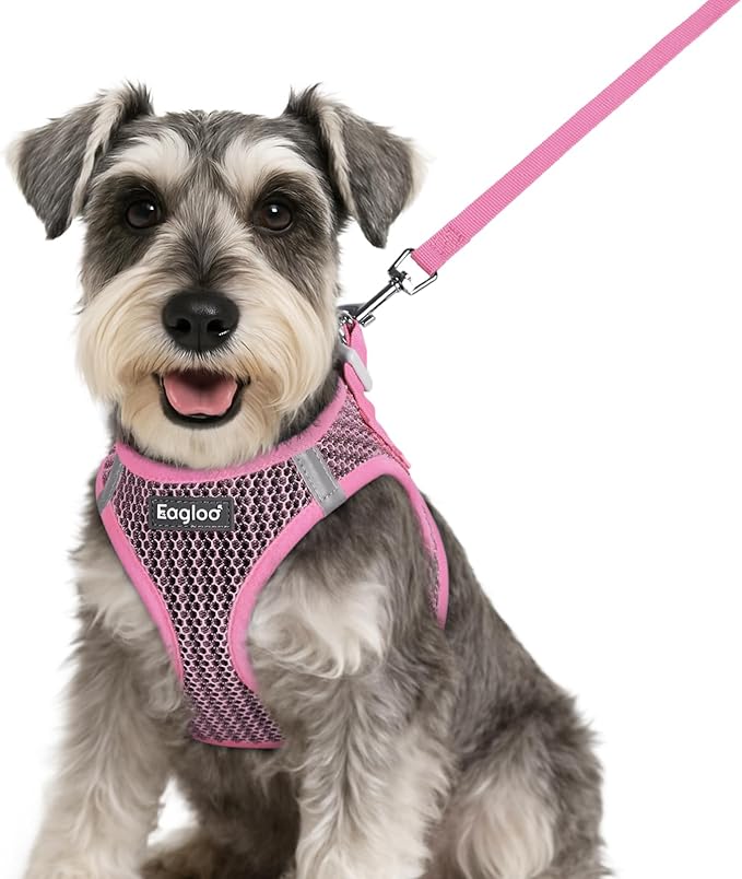 Eagloo Small Dog Harness and Leash Set, Step in Puppy Vest with Breathable Soft Mesh, Walking Reflective Pet Harness for S...