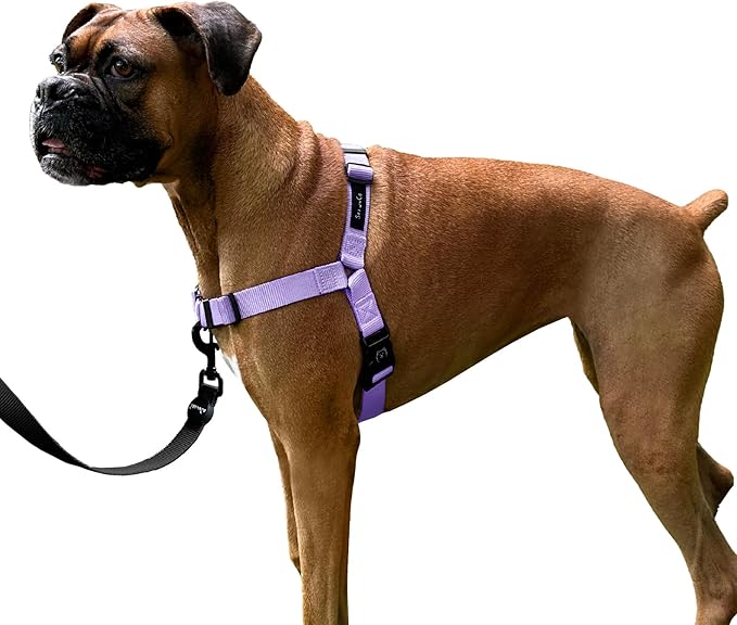 ShawnCo Dream Walk No-Pull Dog Harness- Adjustable, Comfortable, Easy to Use Pet Halter to Help Stop Pulling for Small, Me...