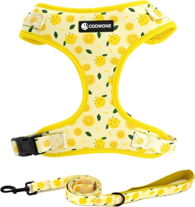 Dog Harness and Leash Set, Adjustable Dog Harness, Dog Leash, No Pull No Choke Puppy Harnesses for Walking Training for Sm...