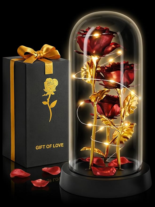 Rose in Glass Dome with LED Lights in Gift Box — Mothers Day Gifts for Mom Grandma, Birthday Gifts for Women, Lighted Glas...