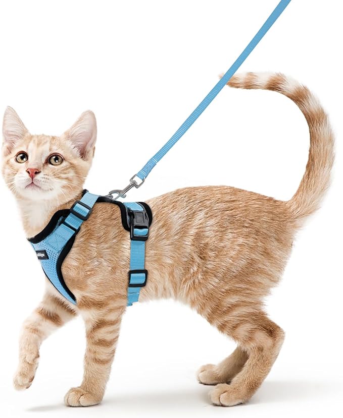rabbitgoo Cat Harness and Leash for Walking, Escape Proof Soft Adjustable Vest Harnesses for Cats, Easy Control Breathable...