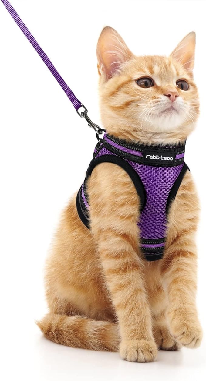 rabbitgoo Cat Harness and Leash Set for Walking Escape Proof, Adjustable Soft Kittens Vest with Reflective Strip for Cats,...
