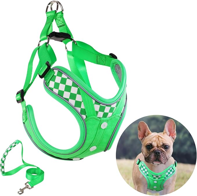 Dog Harness with Leash Set, Adjustable Step in with Breathable Padded Vest Harness for Medium Large Dogs Training and Runn...