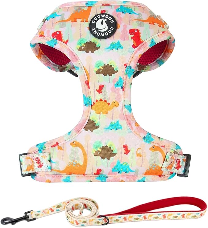 Adjustable Dog Harness and Leash Set for Girl Air Mesh Dog Vest Harness 5Ft Pet Training Leash with Soft Handle Pet Escape...