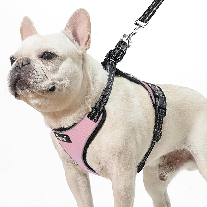 PUPTECK Dog Harness and Leash Set Medium Sized, Adjustable Reflective Escape Proof Puppy Vest, No Pull Walking Harness Eas...