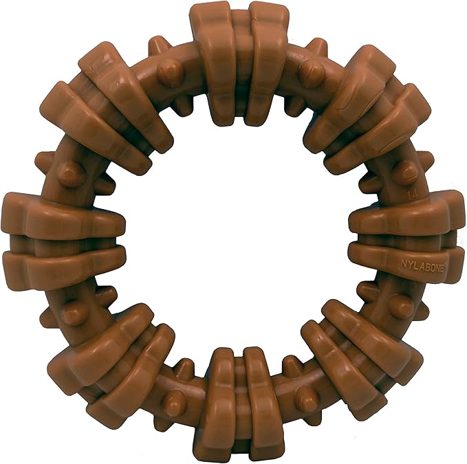 Nylabone Textured Ring Power Chew Toy for Small Dogs, Tough Dog Toys Durable Design for Aggressive Chewers, Best Dog Bored...