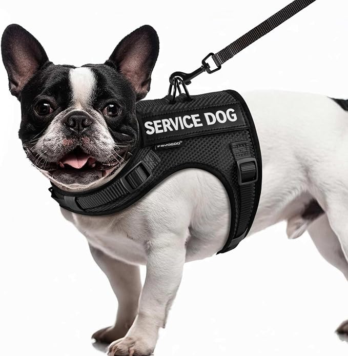 FAYOGOO Service Dog Vest for Small Dogs - Air Mesh Breathble Emotional Support Animal Vest with Velcro Patches - Puppy Har...