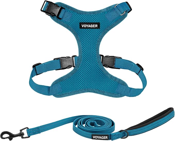 Best Pet Supplies Voyager Step-in Lock Pet Harness w Reflective Pet Leash Combo Set with Neoprene Handle 5ft - Supports Sm...