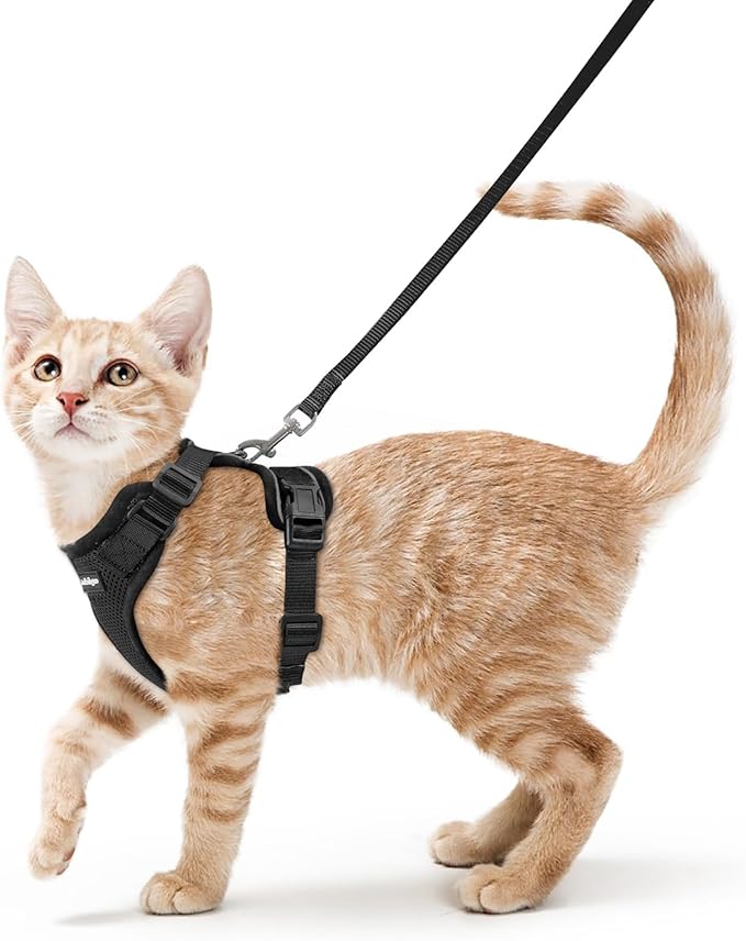 rabbitgoo Cat Harness and Leash for Walking, Escape Proof Soft Adjustable Vest Harnesses for Cats, Easy Control Breathable...