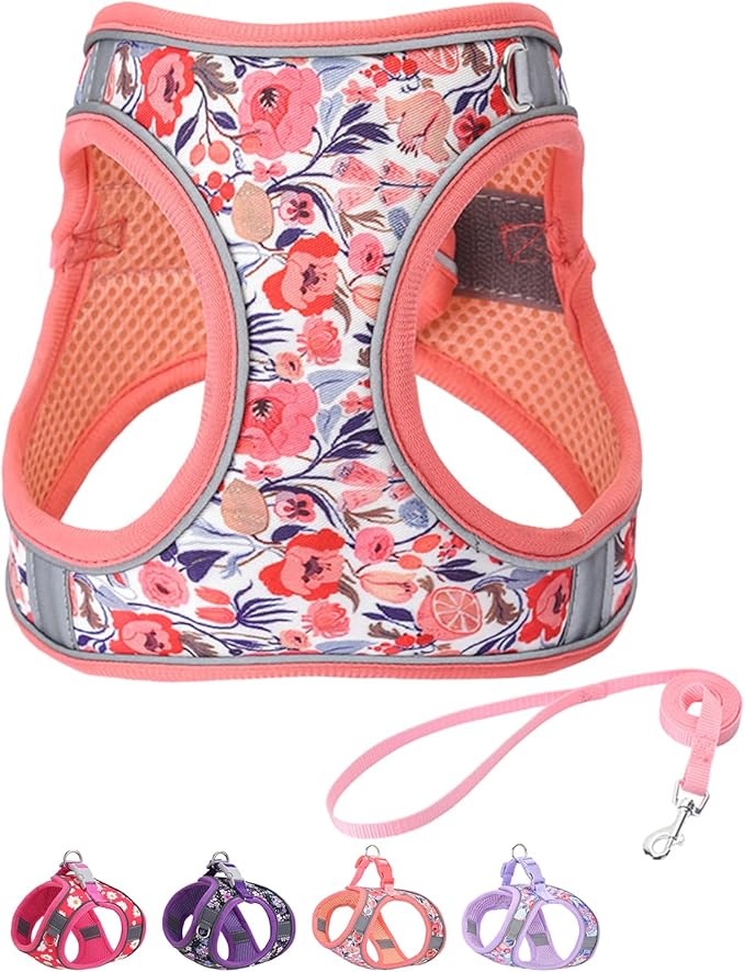 Step in Dog Harness and Leash Set, Flower Adjustable Easy Walk Puppy Harnesses, Soft Mesh Pet Vest Harness Small Size Dog ...