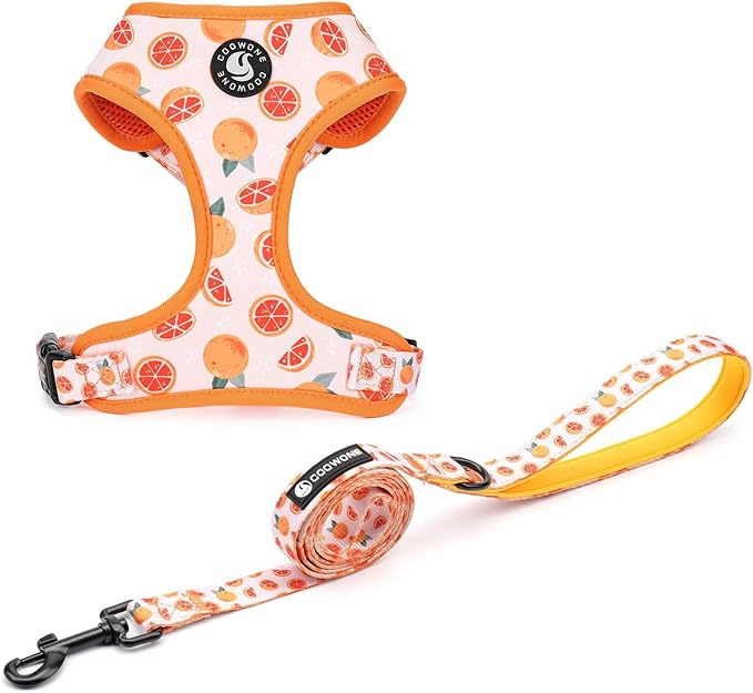 Dog Cat Harness and Leash Set, Puppia Soft Mesh Padded and Adjustable Puppy Vest Cute Dog Clothes Escape Proof Easy Walk P...