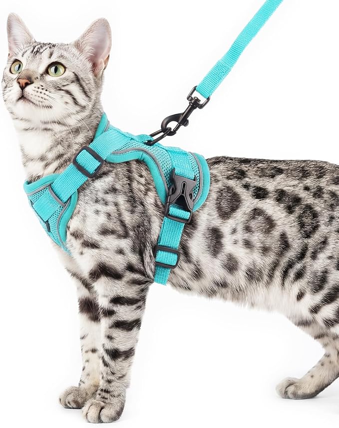 pangdi Cat Harness and Leash Set Escape Proof Tactical Large Kitten Harness Emotional Support Cat Vest, Turquoise, L