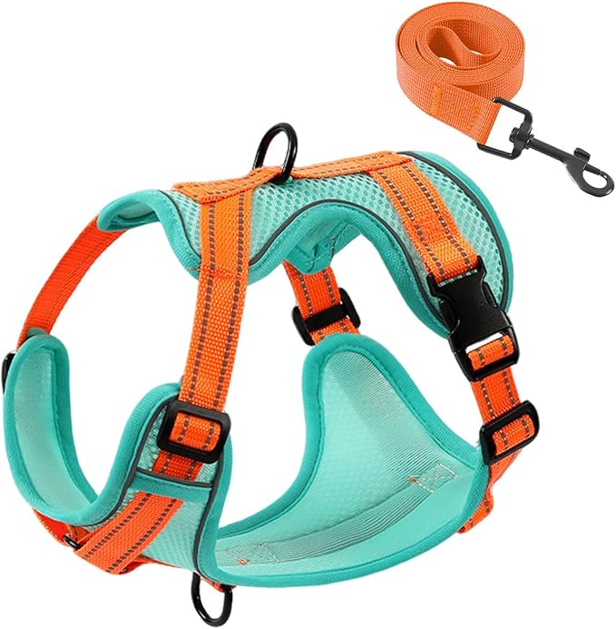 PAWDAY No-Pull Dog Harness with Dog Leash Breathable Mesh Adjustable Soft Padded Pet Vest Reflective for Small/Medium/Larg...