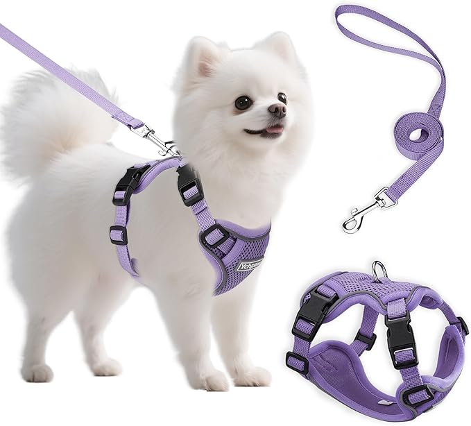 Ychpaw Small Dog Harness and Leash Set, Reflective Soft Breathable Mesh Vest, 3 Buckles, Adjustable Neck and Chest,Step in...